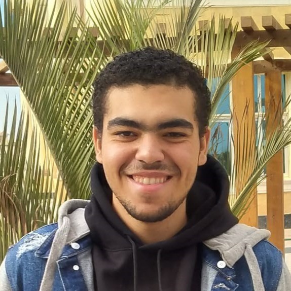 Mohamed Omar - Flutter Developer